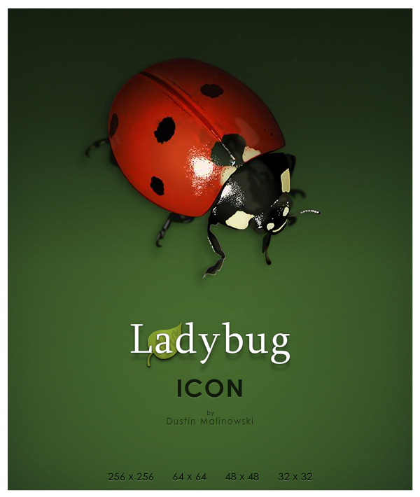 Ladybug Icon