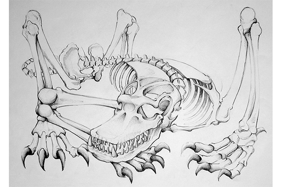 Anatomical Drawing of Fictional Creature